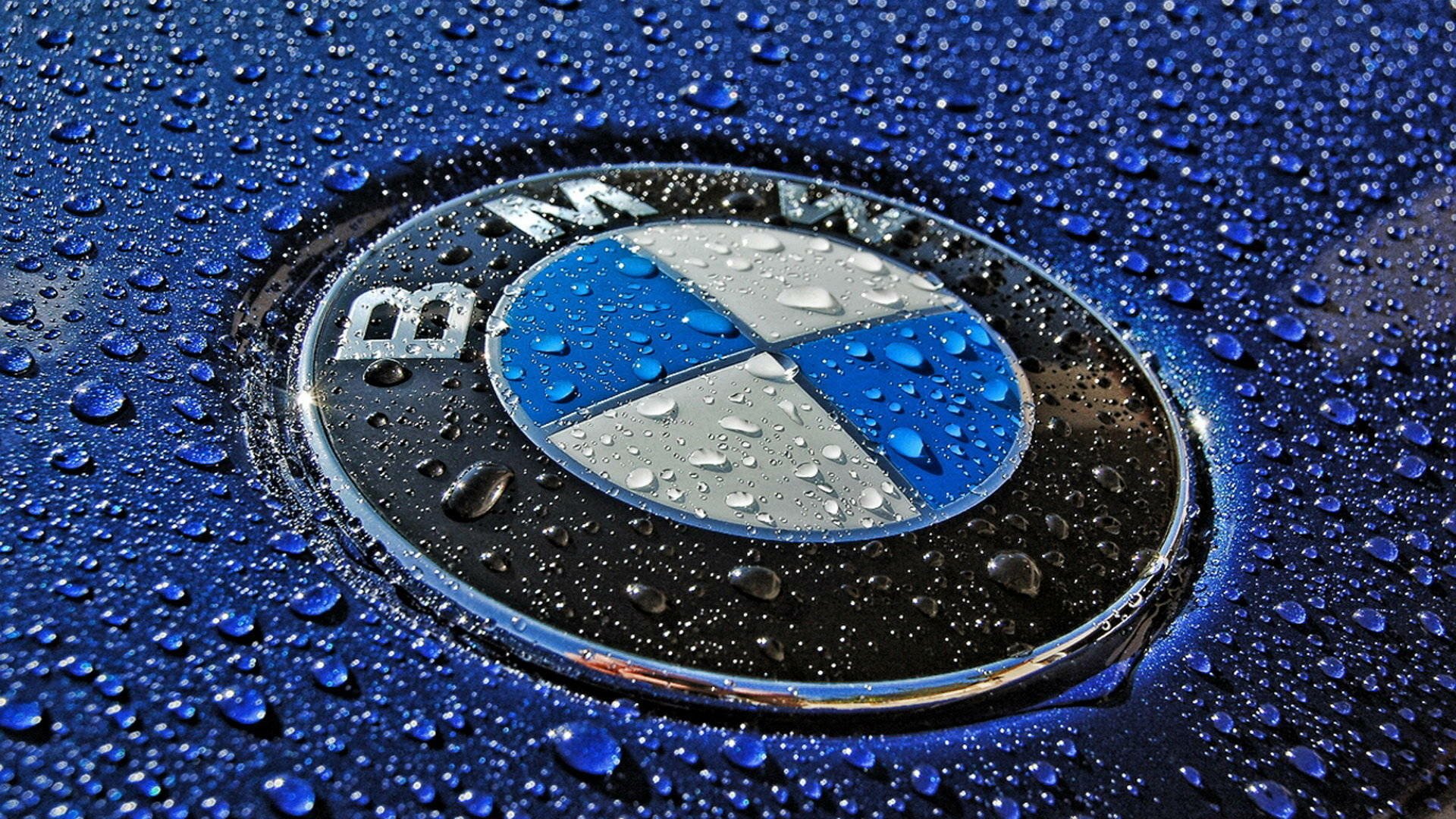 Close-up of a BMW logo on a wet, blue car surface