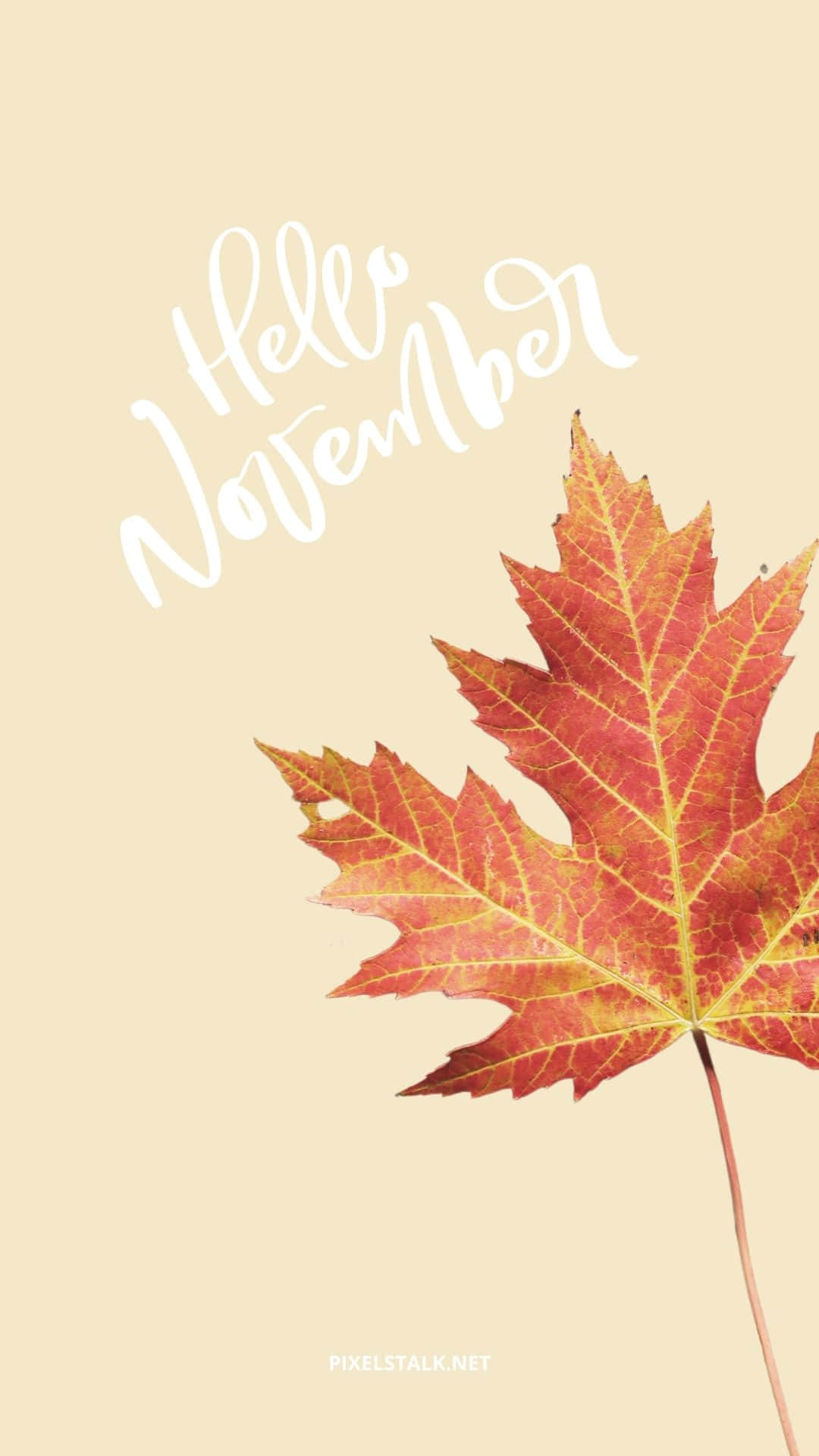 Aesthetic November Wallpaper