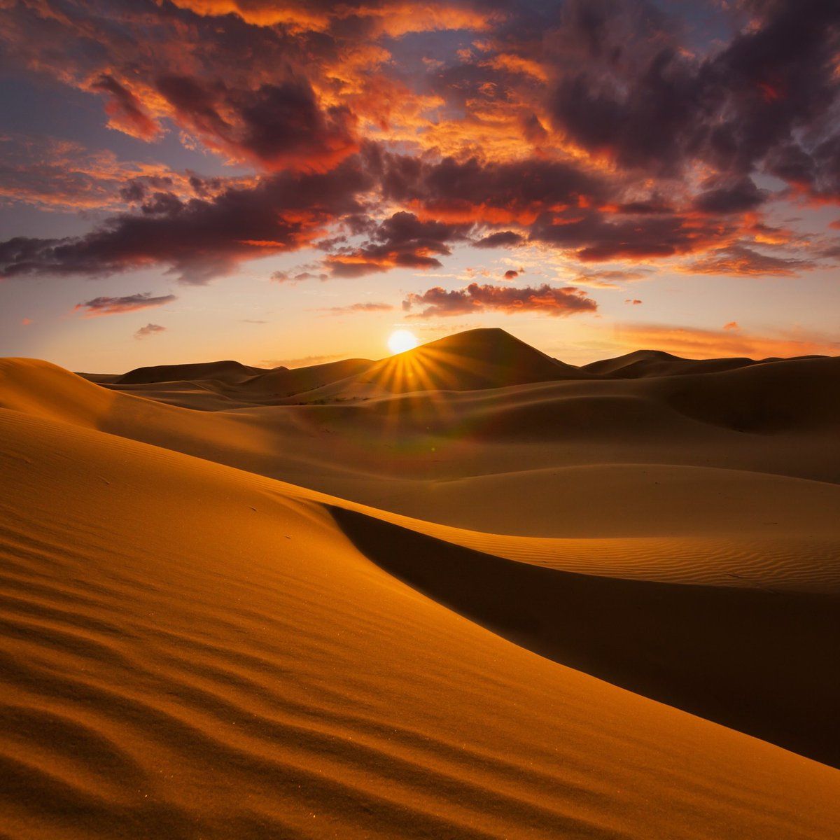 Beautiful Desert Wallpaper On