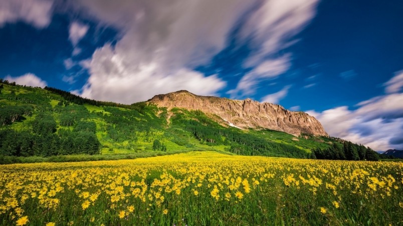 Stunning Mountain Landscape HD Wallpaper Wallpaperfx