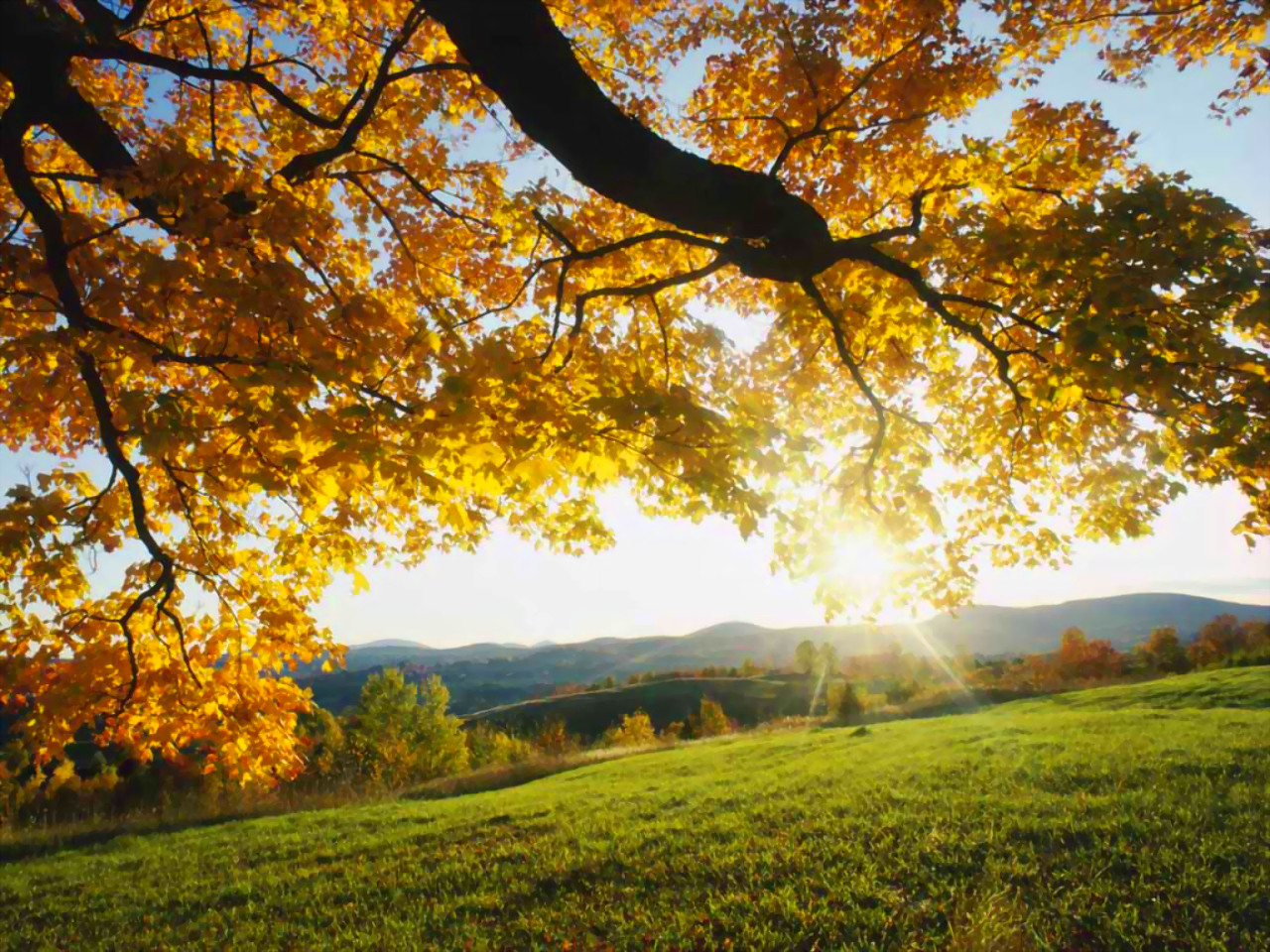 Autumn Wallpaper For Desktop Widescreen
