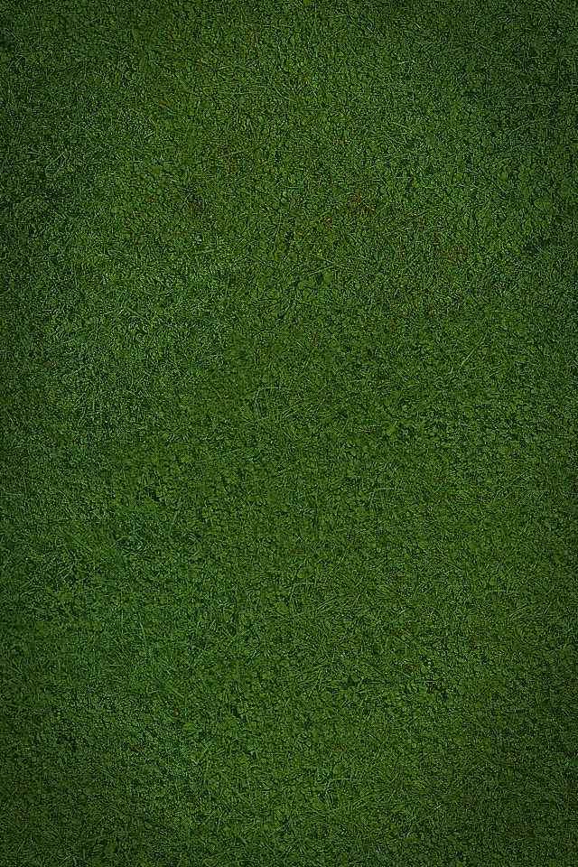 iphone 4 green grass wallpaper download