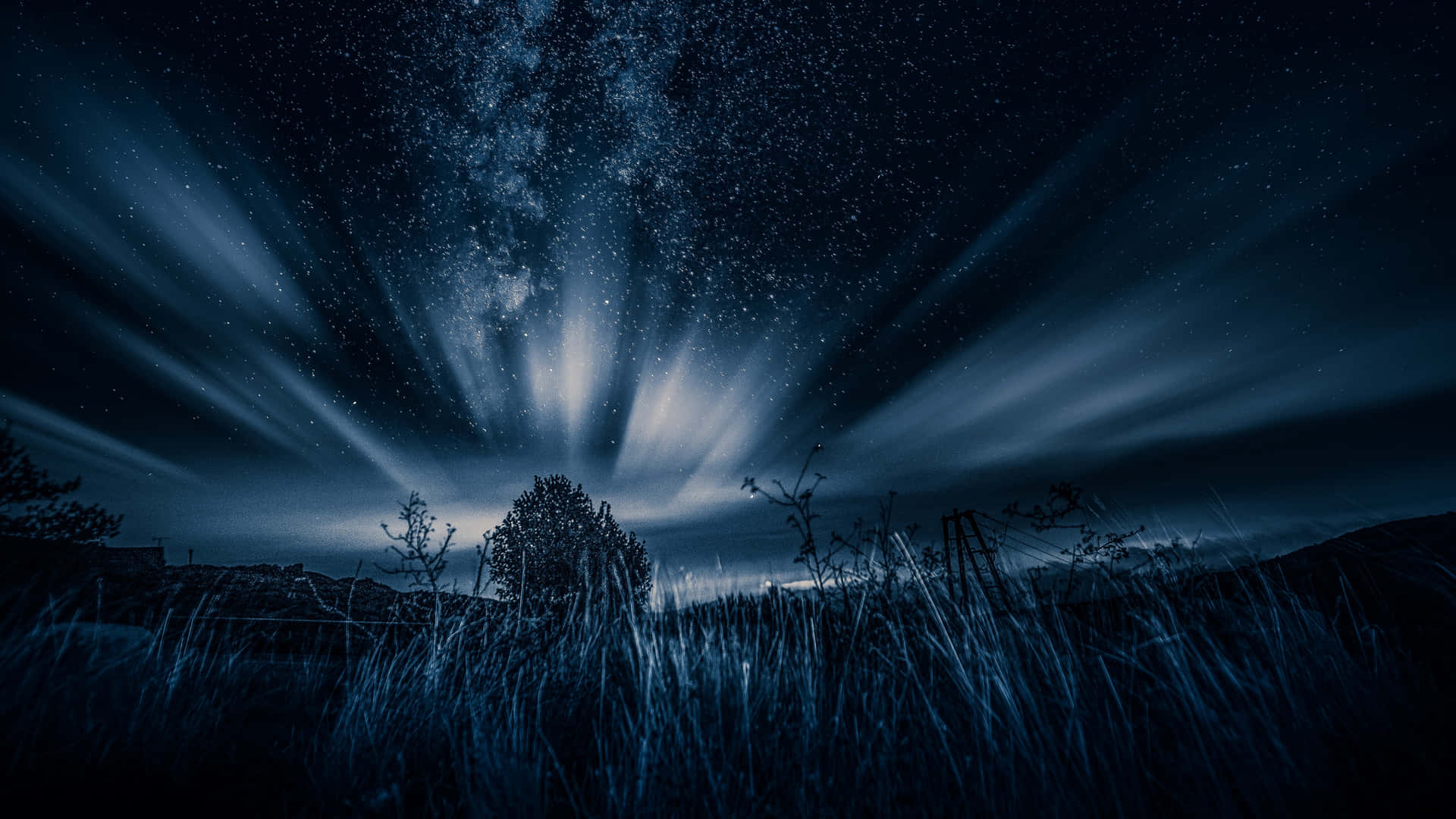 Dark Nature Wallpaper