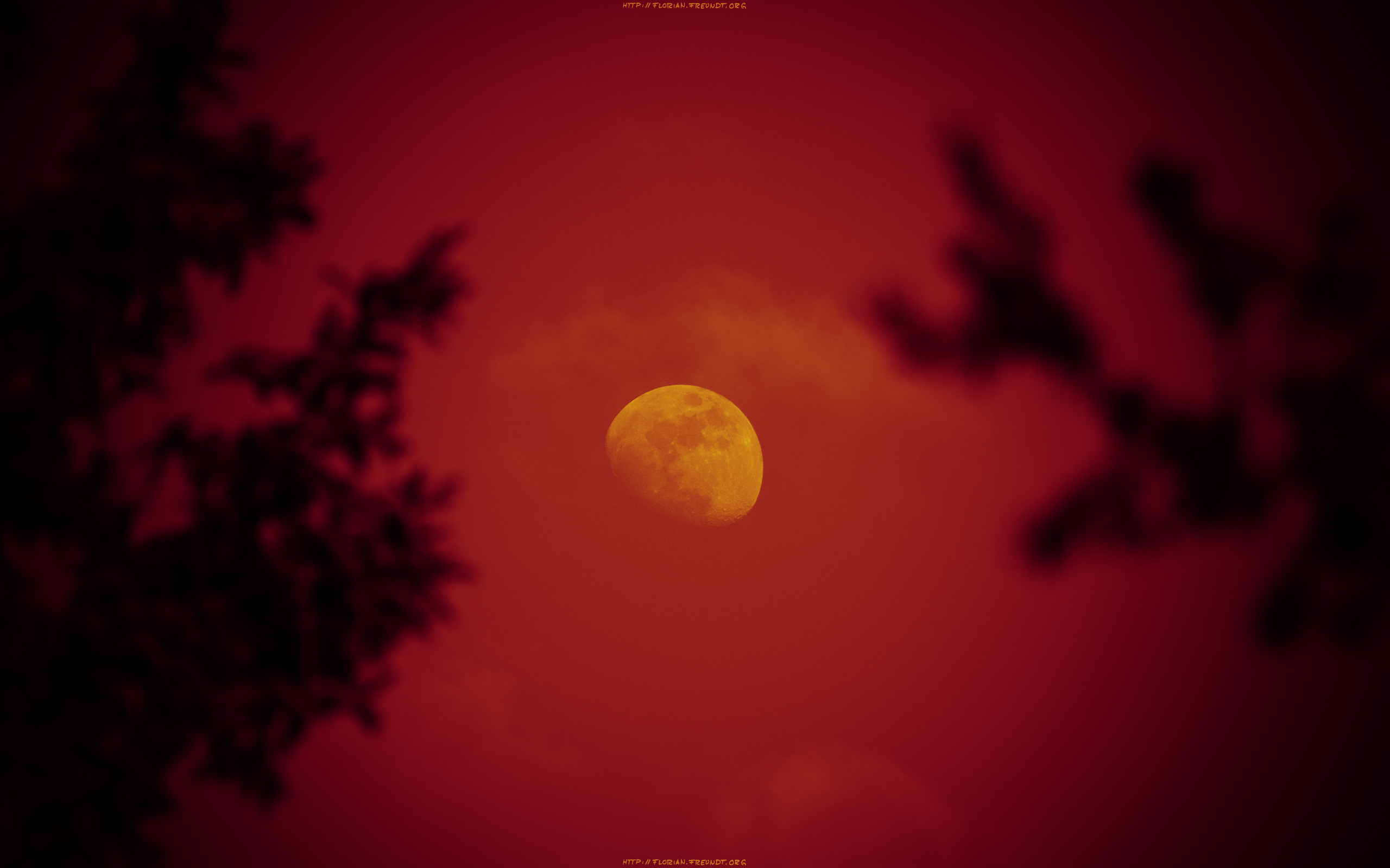 Wallpaper Red Moon Rising In Pixels