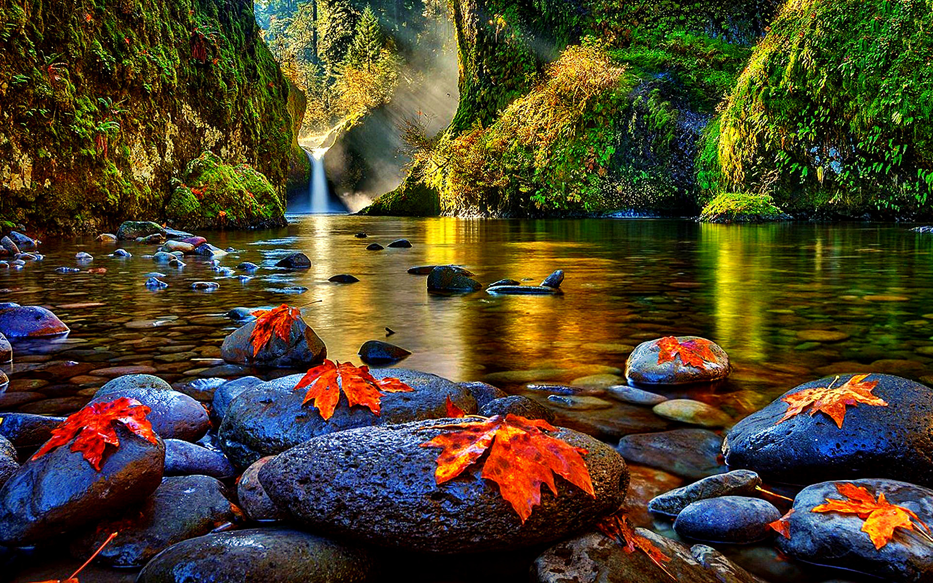 Photography Desktop Wallpaper