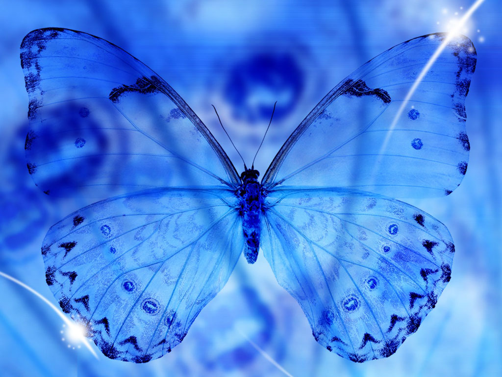 wallpaper Blue Butterfly Art Wallpapers 1024x768