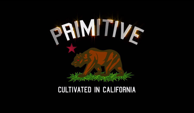 Primitive Apparel X Grizzly Diamond Supply Co On Gnartifact