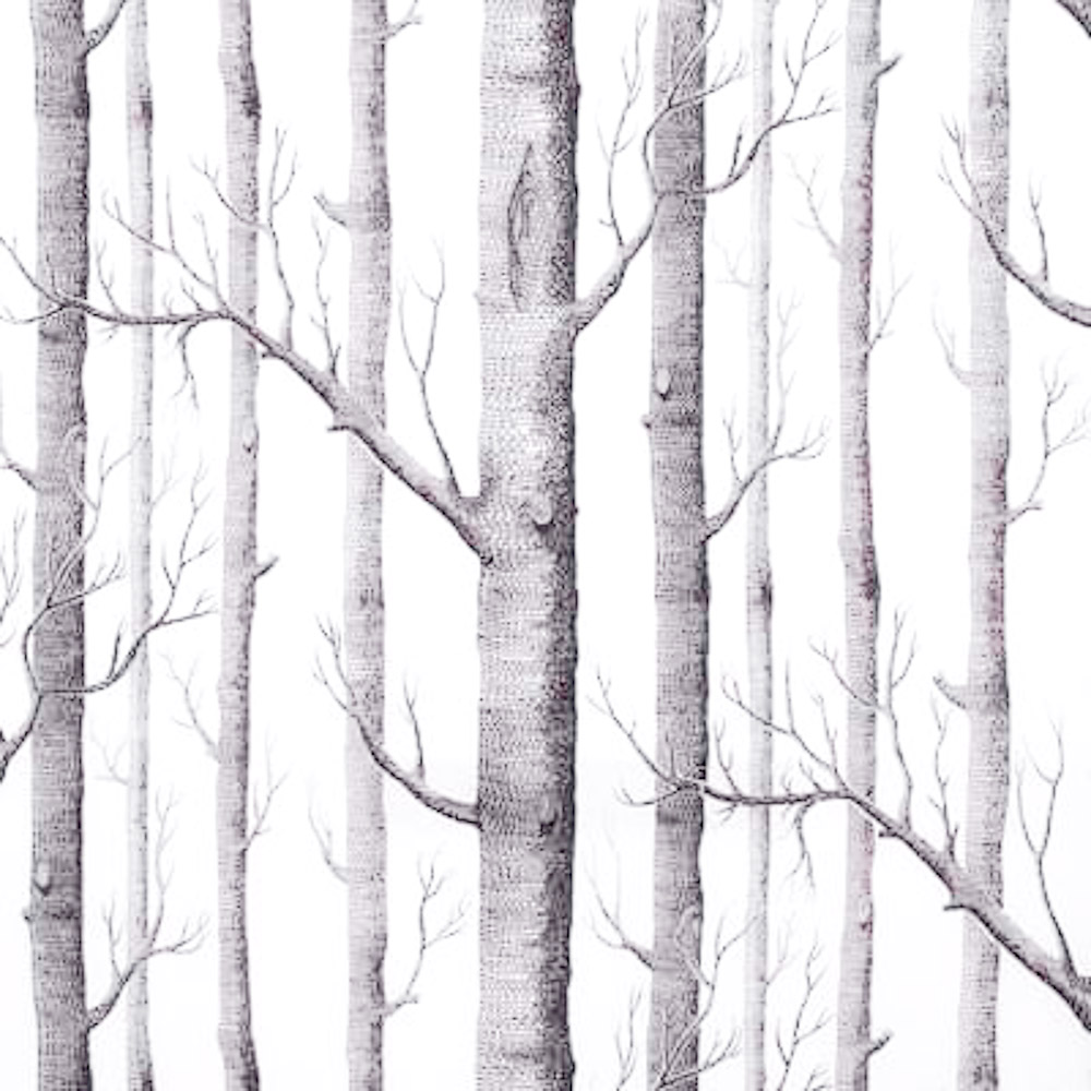 Fine Decor Realistic Wallpaper Birch Tree Neutral