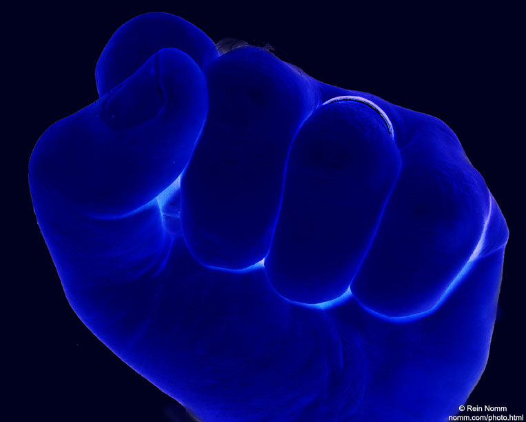 Wallpaper Pc Puter Blue Fist On Black