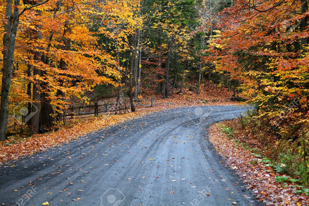 Rainy Autumn Day Stock Photo Picture And Royalty Free Image