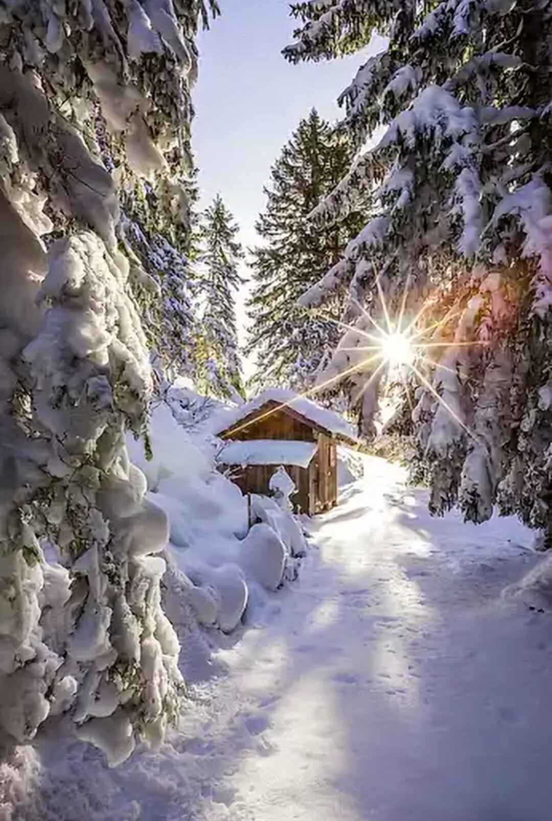 A snow-covered path leads to a wooden cabin nestled among snow-laden trees, as the sun shines brightly through the branches, creating a picturesque winter wonderland