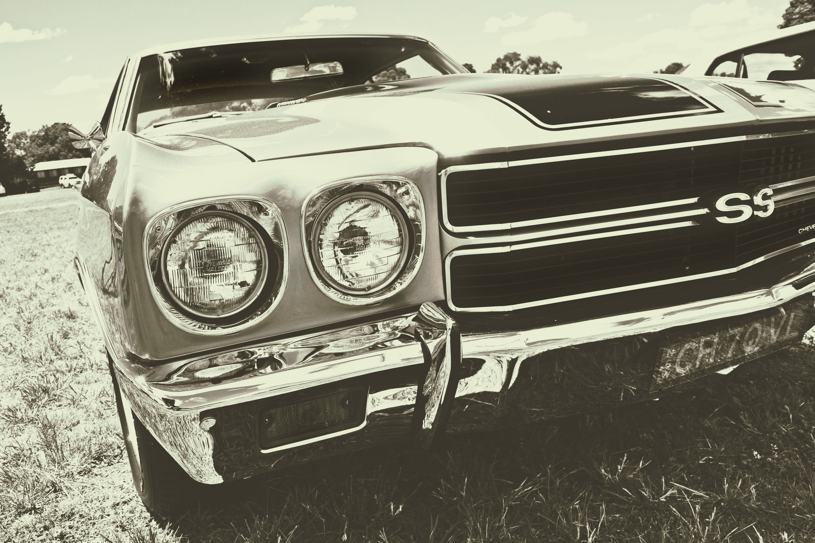 1970 Chevelle SS 454 3 by EdPreece on