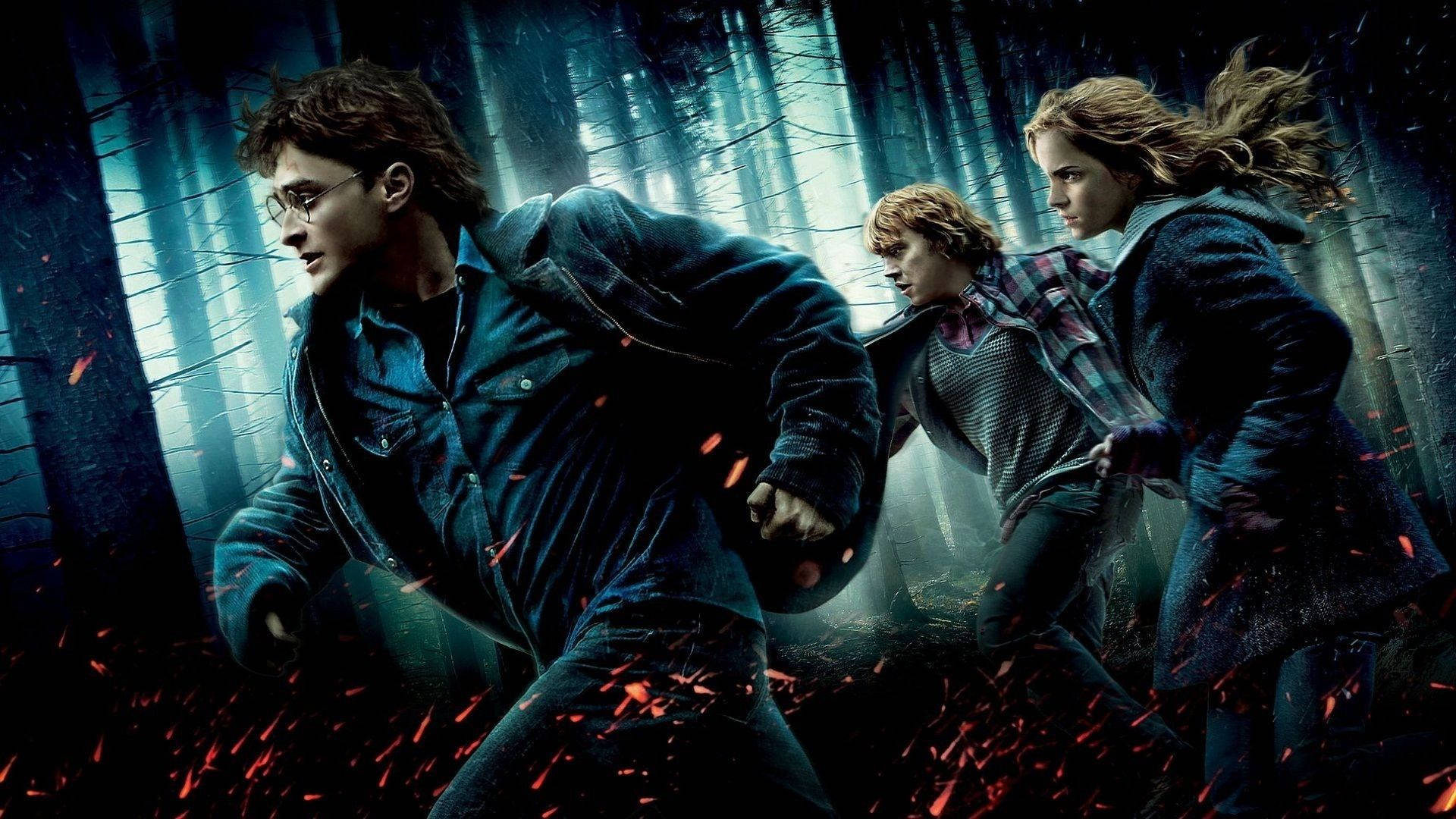 Harry Potter 4k Wallpaper