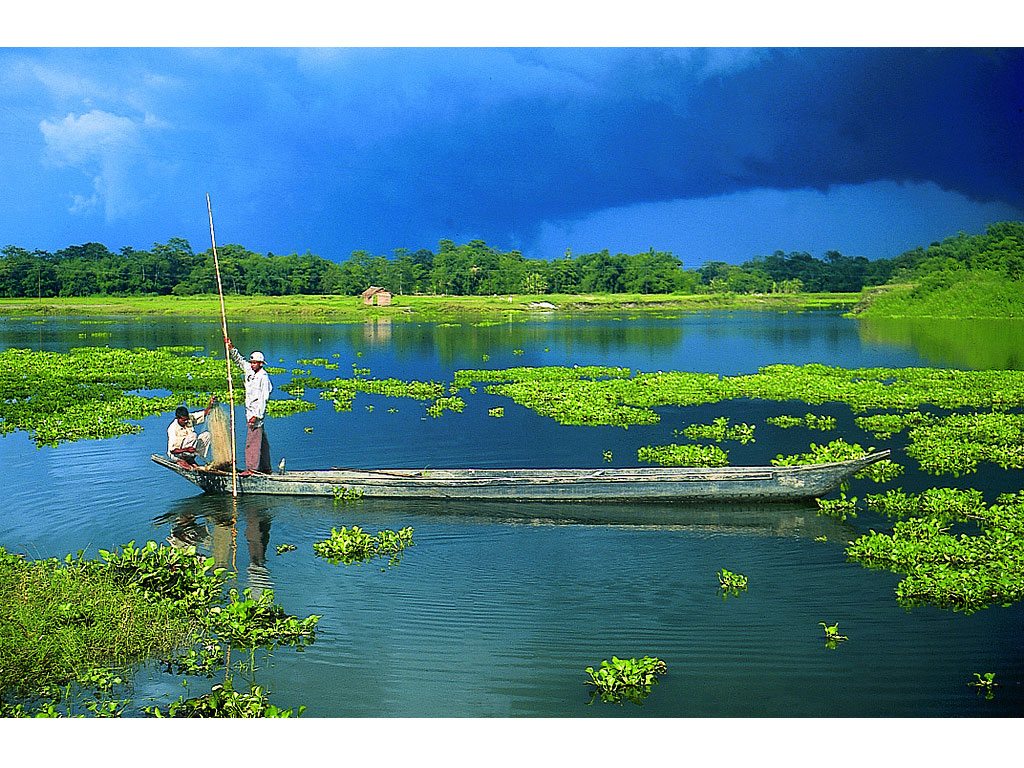 Assam S Majuli Declared The World Largest River Island Nat Geo
