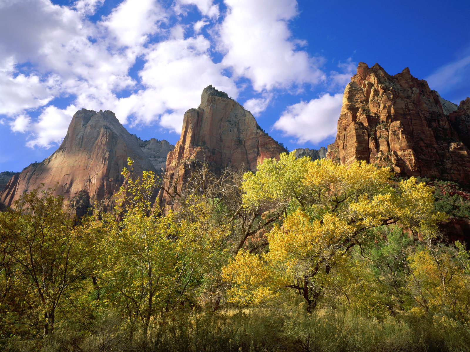 Three Patriarchs Zion National Park Wallpapers HD Wallpapers