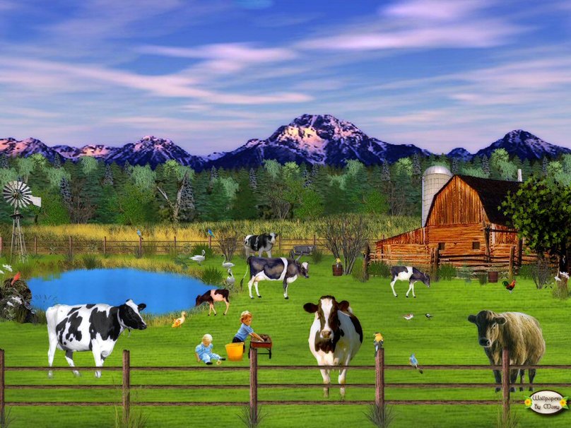 Dairy Cow Wallpaper Farm
