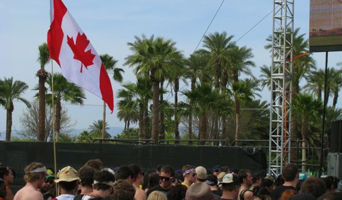 Canadian Flags Look Out Of Place Among Palm Trees
