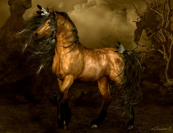 Horse Pictures Image Wallpaper Photos Native American