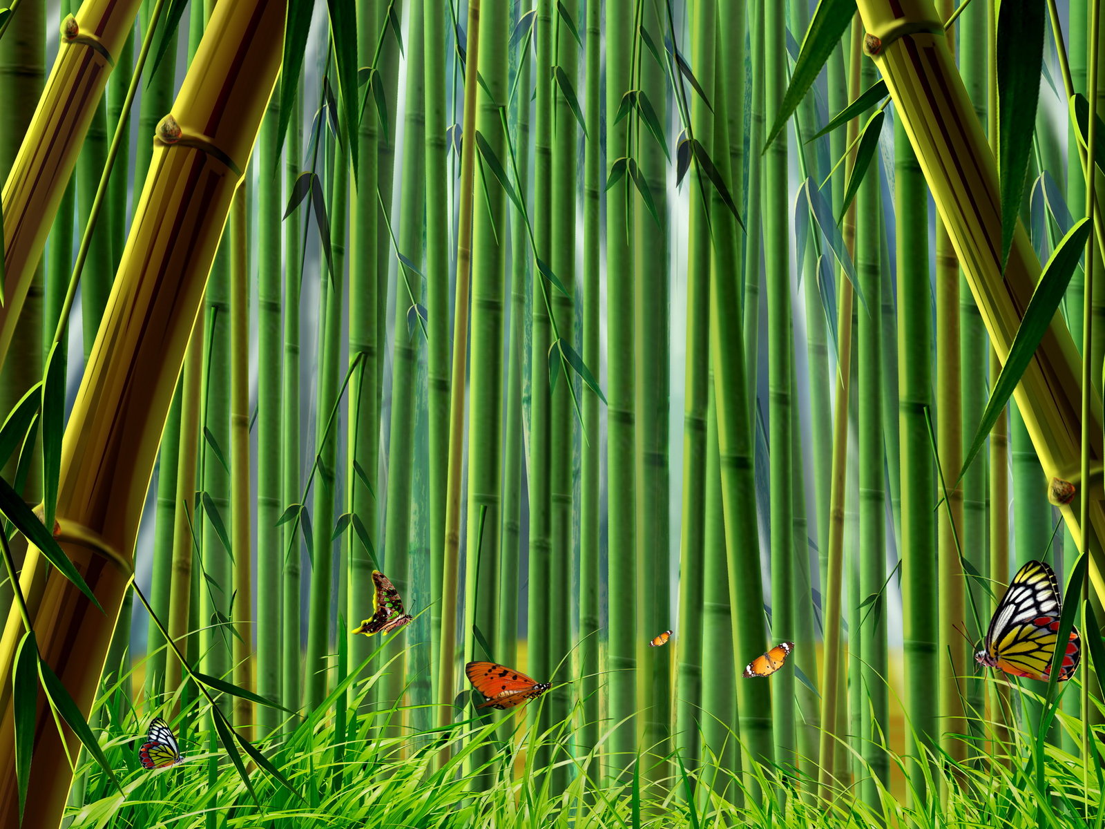 Bamboo Wallpaper Natural Green Desktop