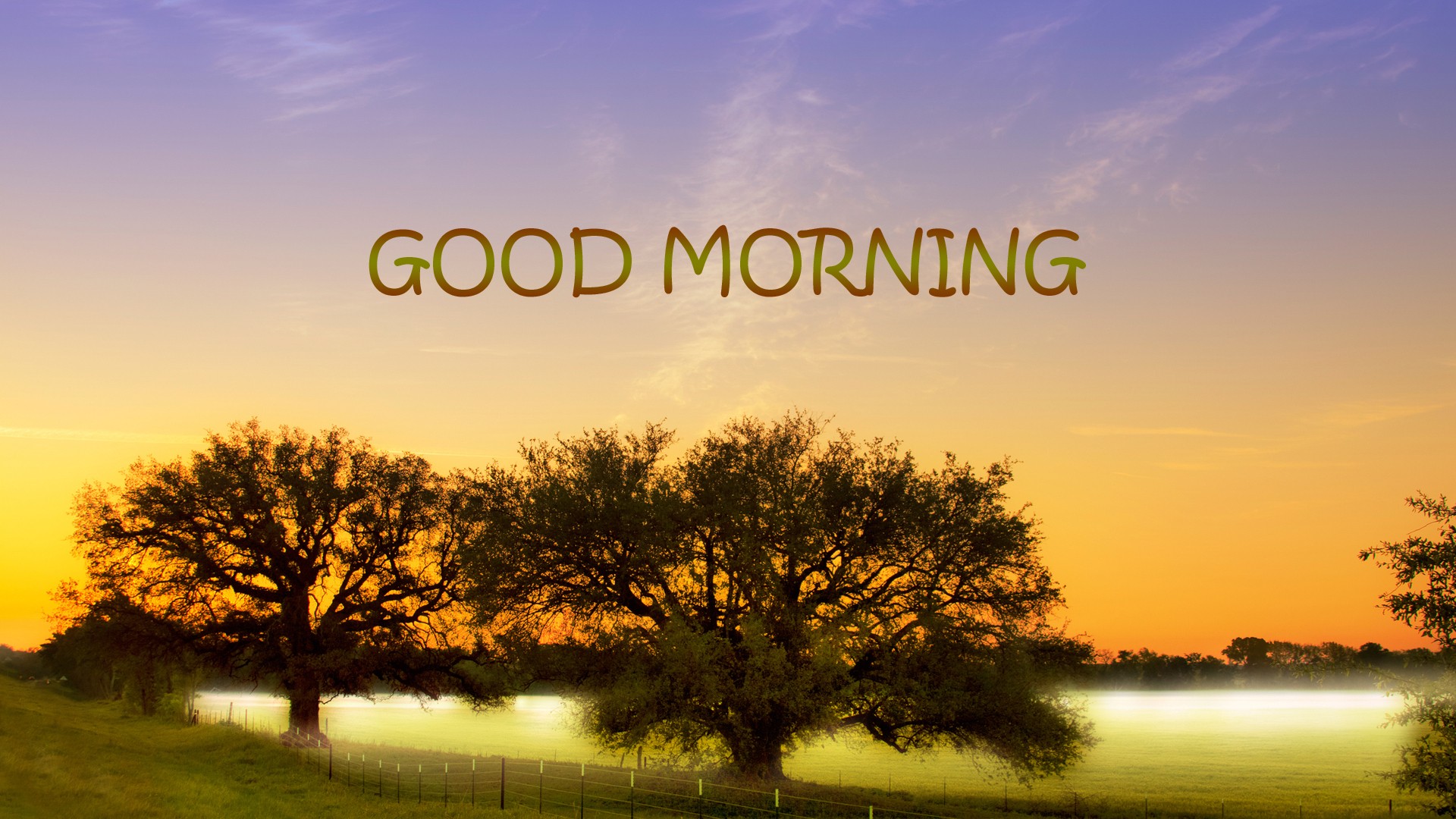 Good Morning HD Wallpaper Pictures