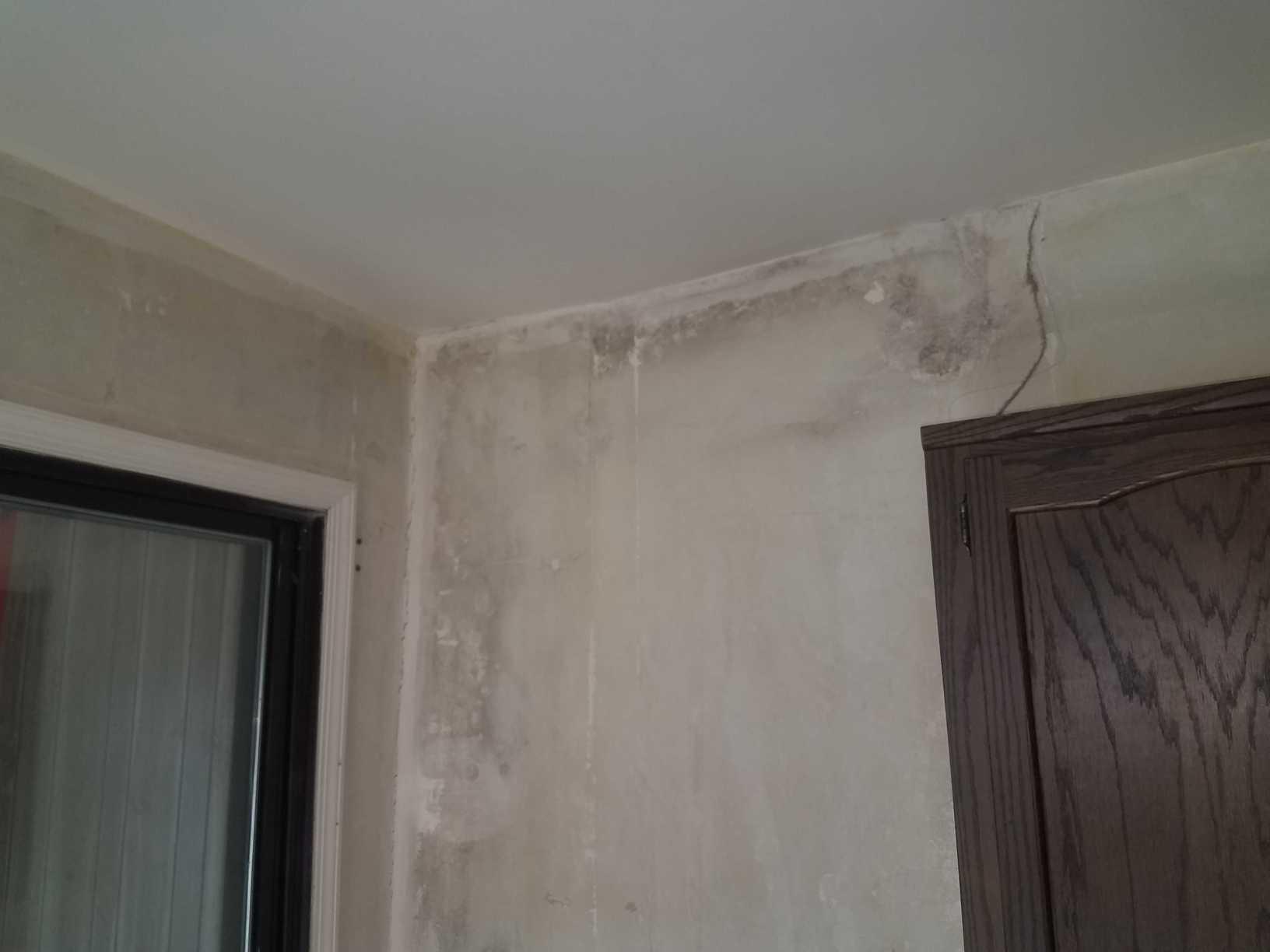 Our Mold Removal Services Growth Behind Wallpaper In East