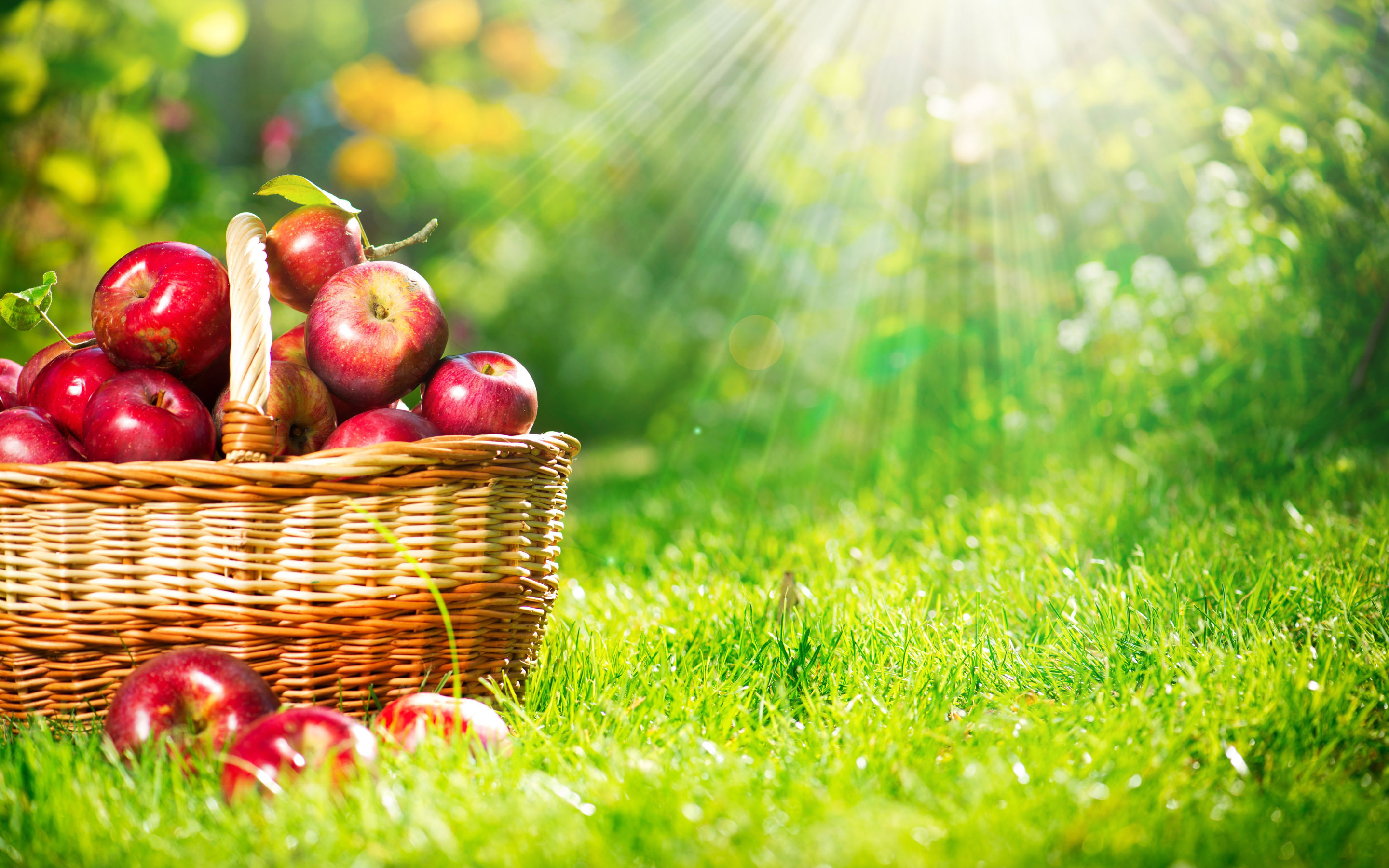 Fruit Background Wallpaper