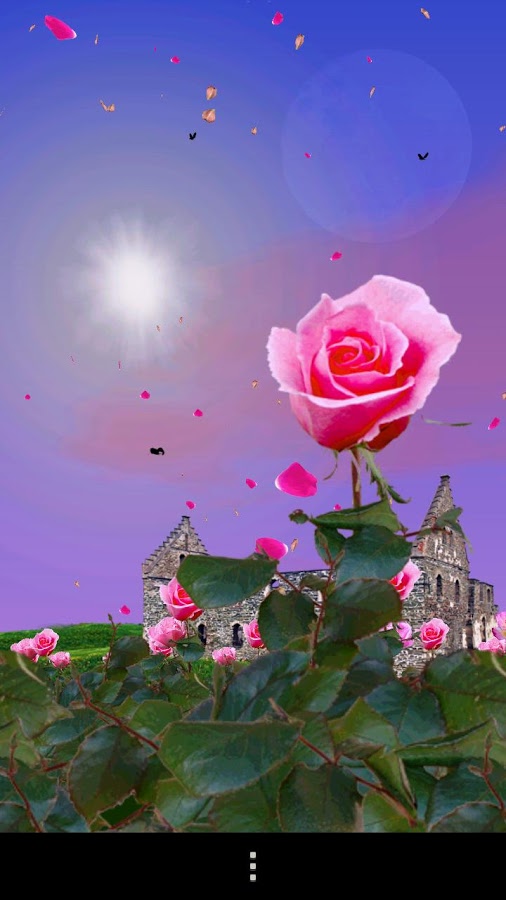 Rose Garden Live Wallpaper Android Apps On Google Play