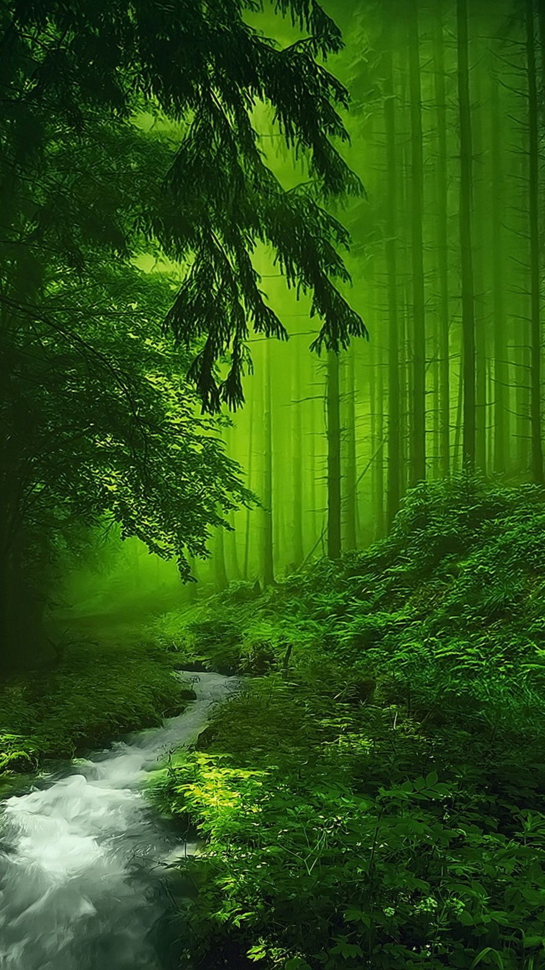 A clear river in the green forest   Fantasy place Wallpaper