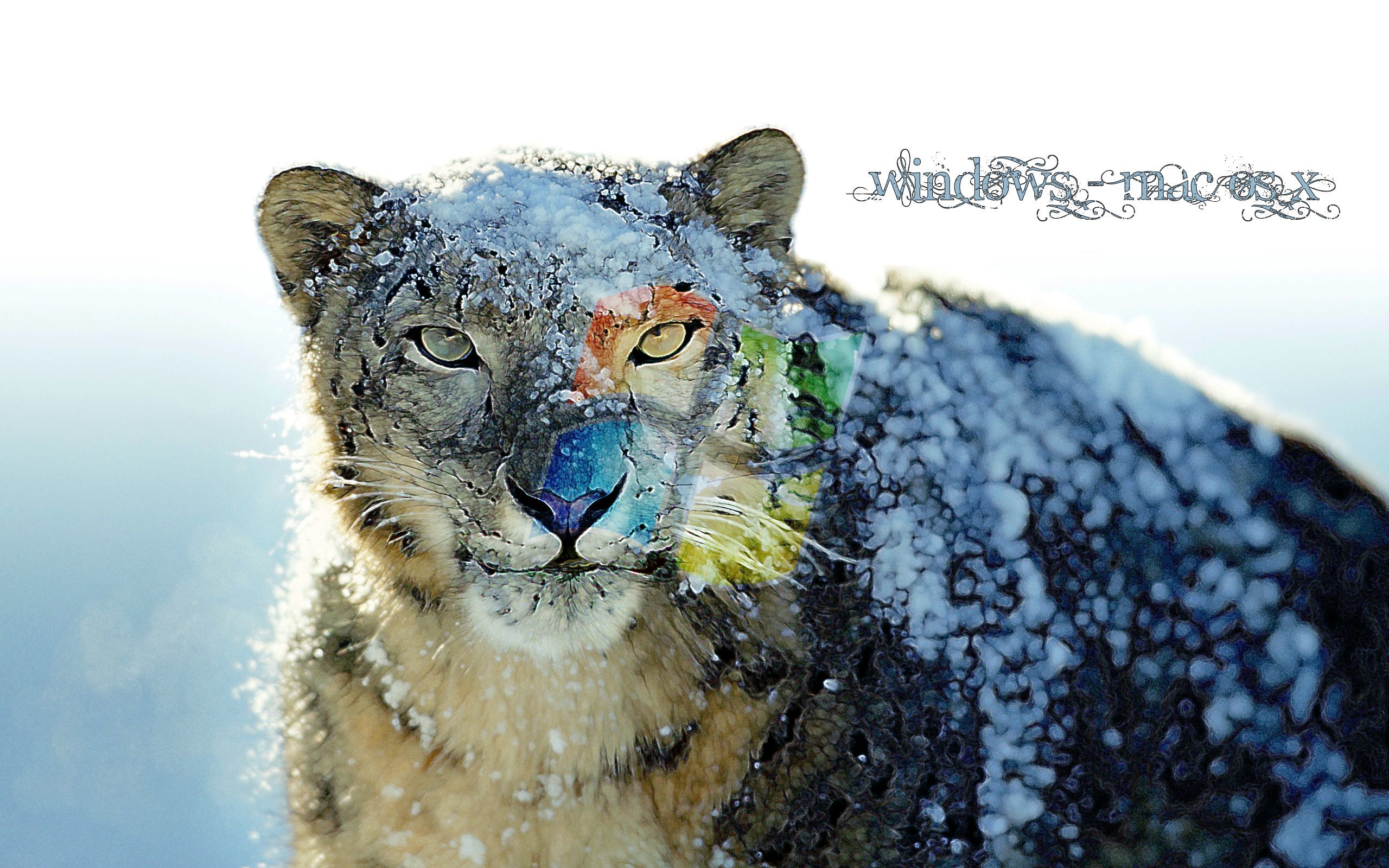 Mac wallpaper snow leopard