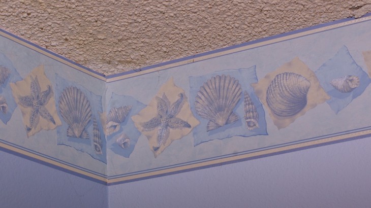 Free download Seashells Wallpaper Border Blue seashell border 730x410  [730x410] for your Desktop, Mobile & Tablet | Explore 47+ Shell Wallpaper  Border | Sea Shell Wallpaper, Shell Wallpaper, Wallpaper Border