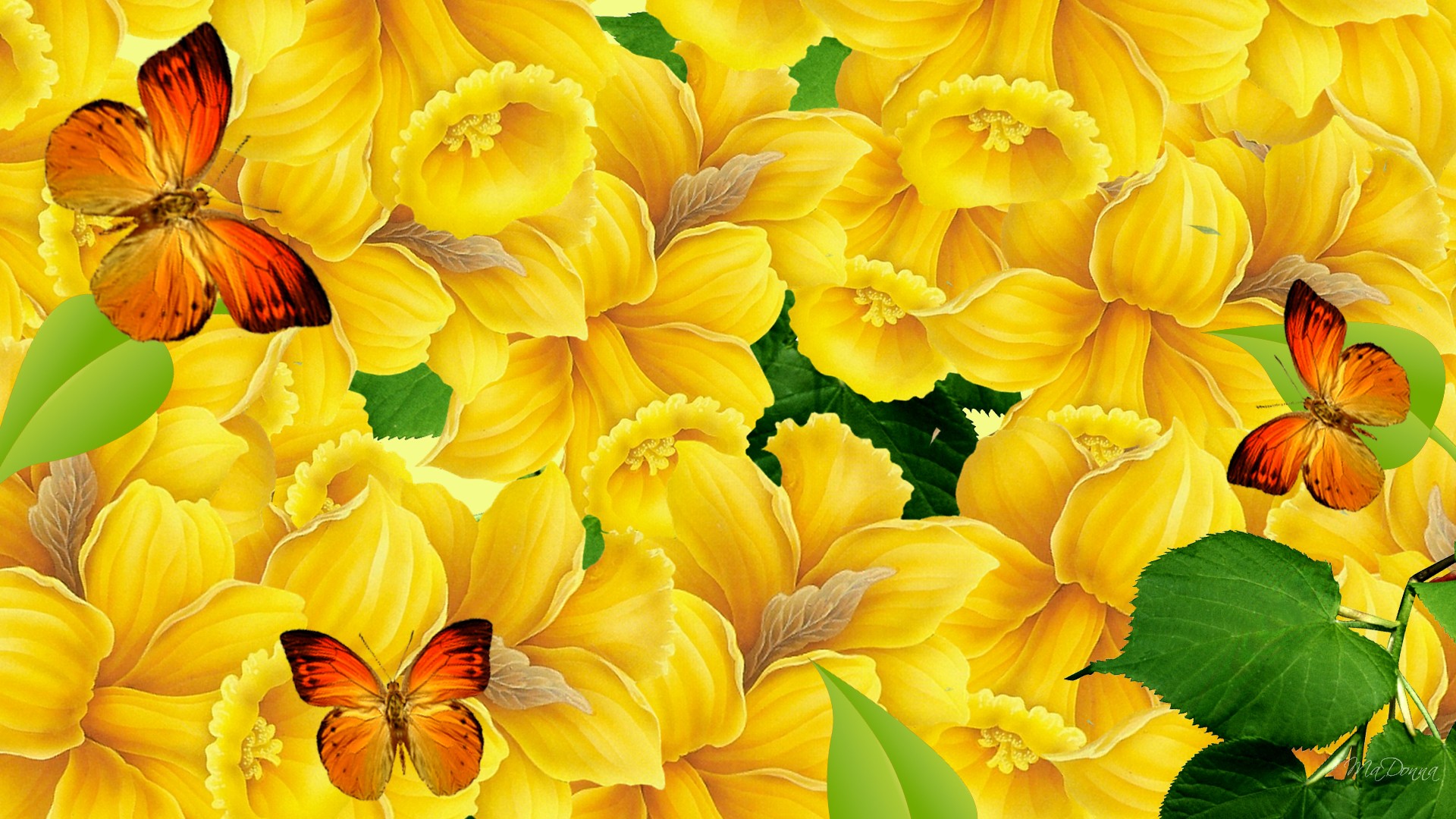 Awesome Colorful Butterflies HD Background Unique Wallpaper