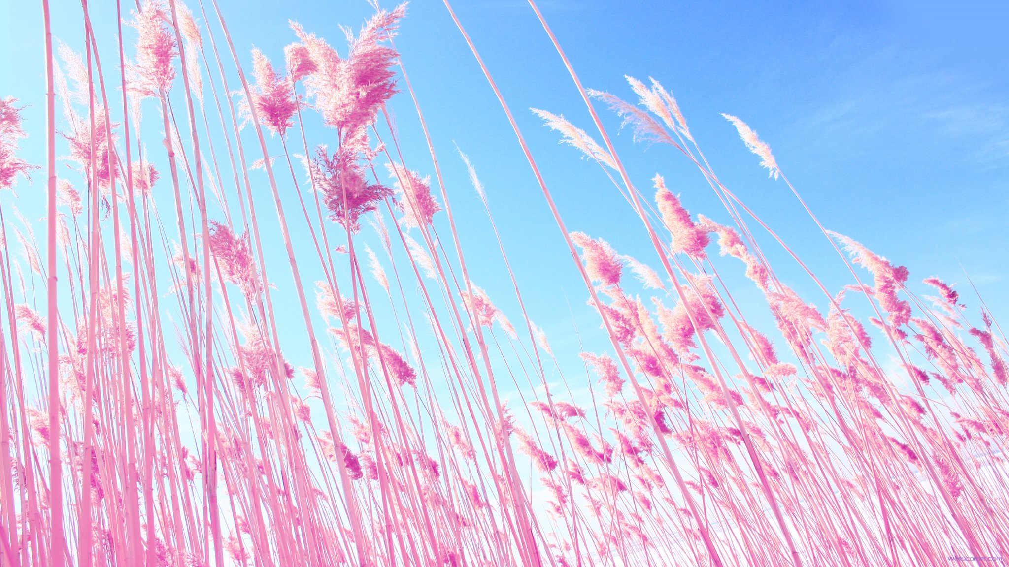 Beautiful Pictures 2048 X 1152 Pixels 2048x1152 Photos 2048 Wide And 