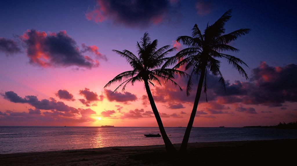 Tropical Beach Paradise Sunset Wallpaper