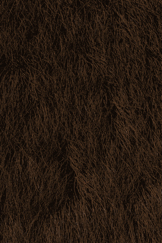 iPhone Wallpaper Brown Fur Photo Sharing