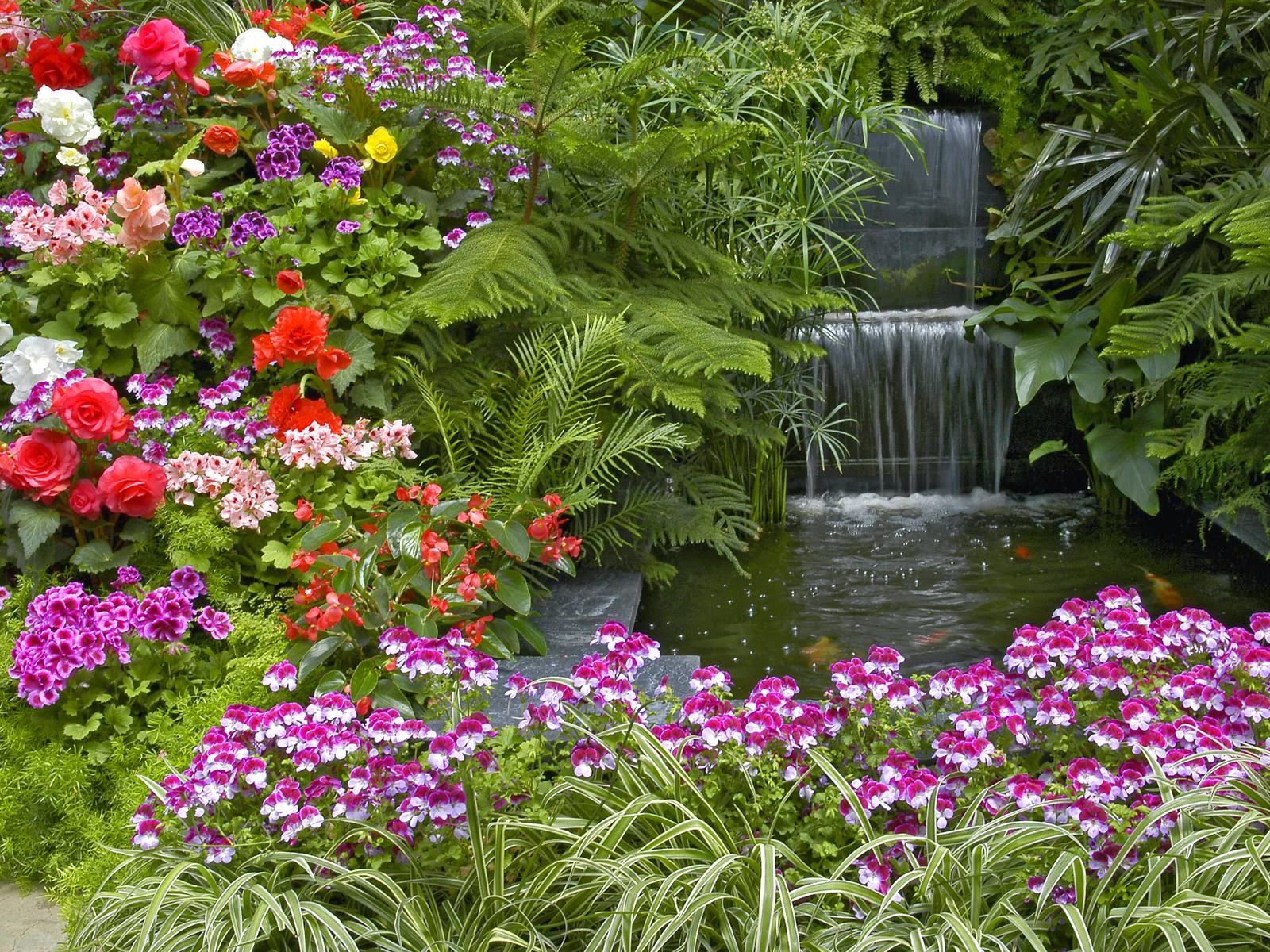 HD Flower Garden Wallpaper Refreshrose Spot
