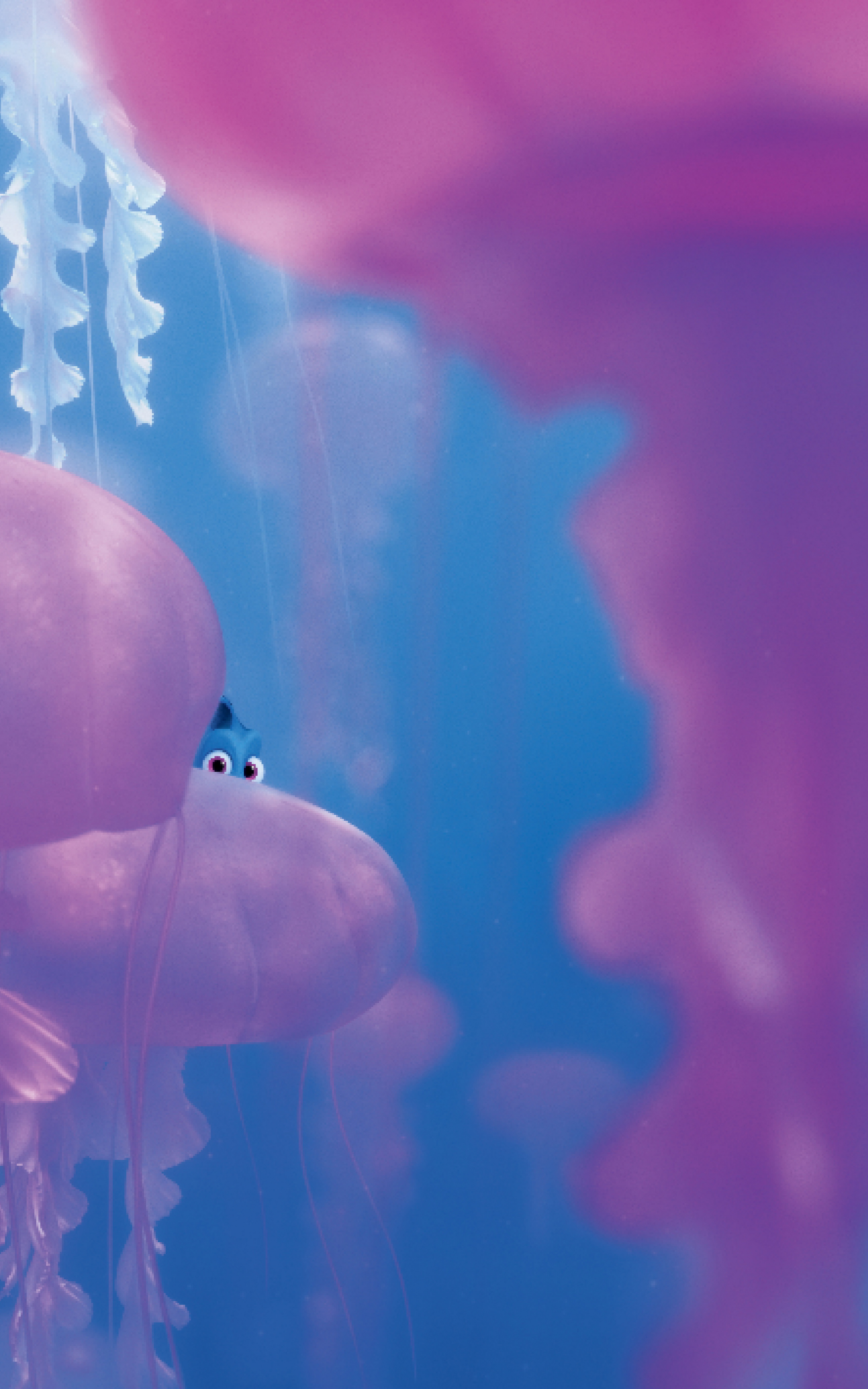 dory and squishy wallpaper