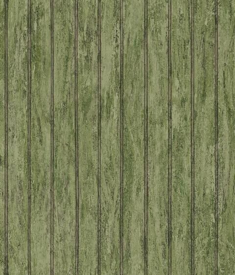 Bc1581942 Design By Color Green Totalwallcovering