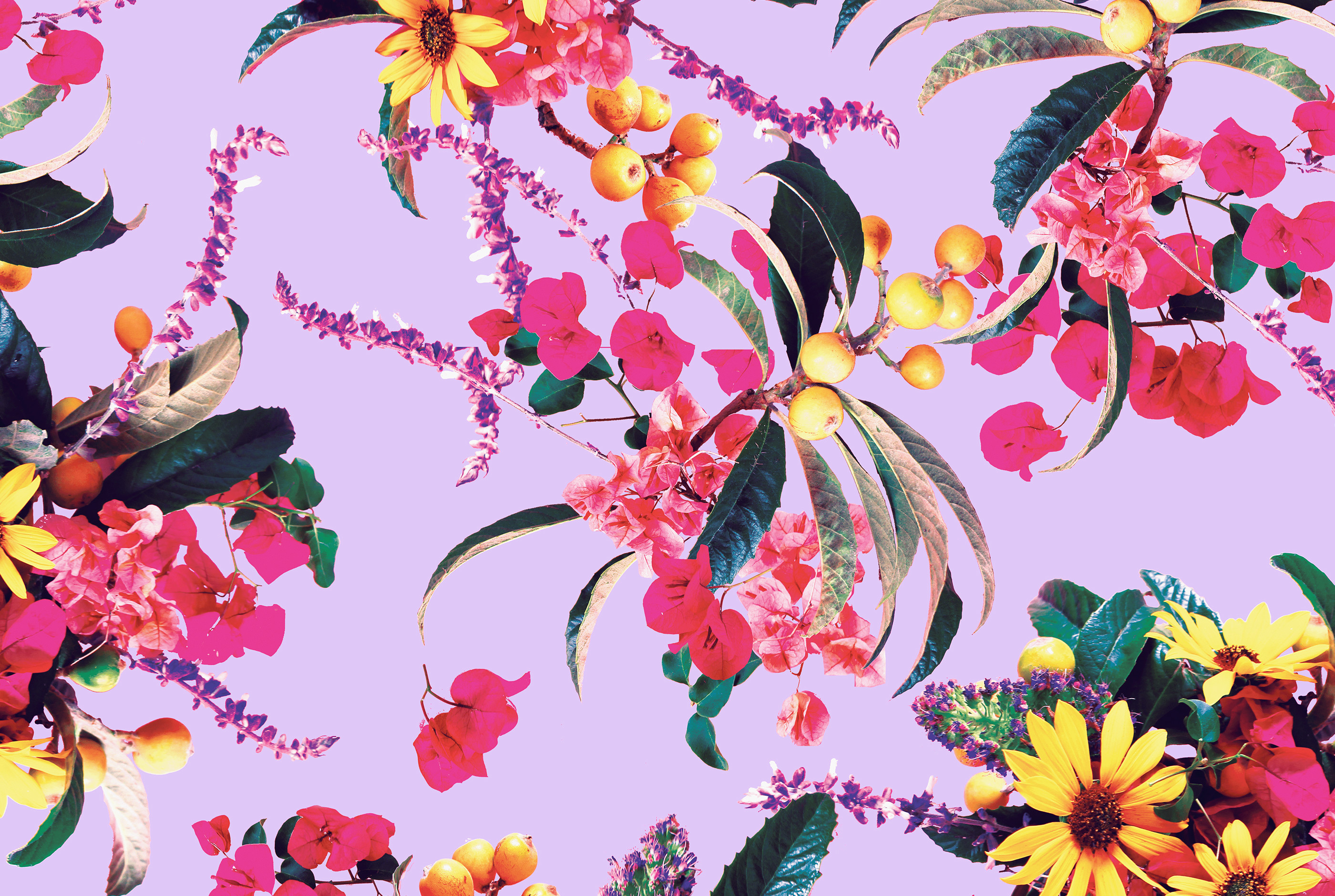 Cute Trendy Wallpaper
