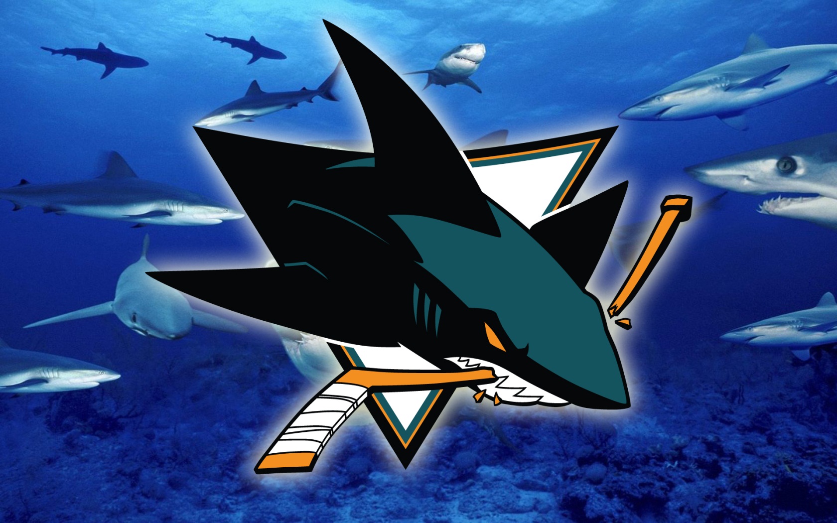 San Jose Sharks Logo Pelauts