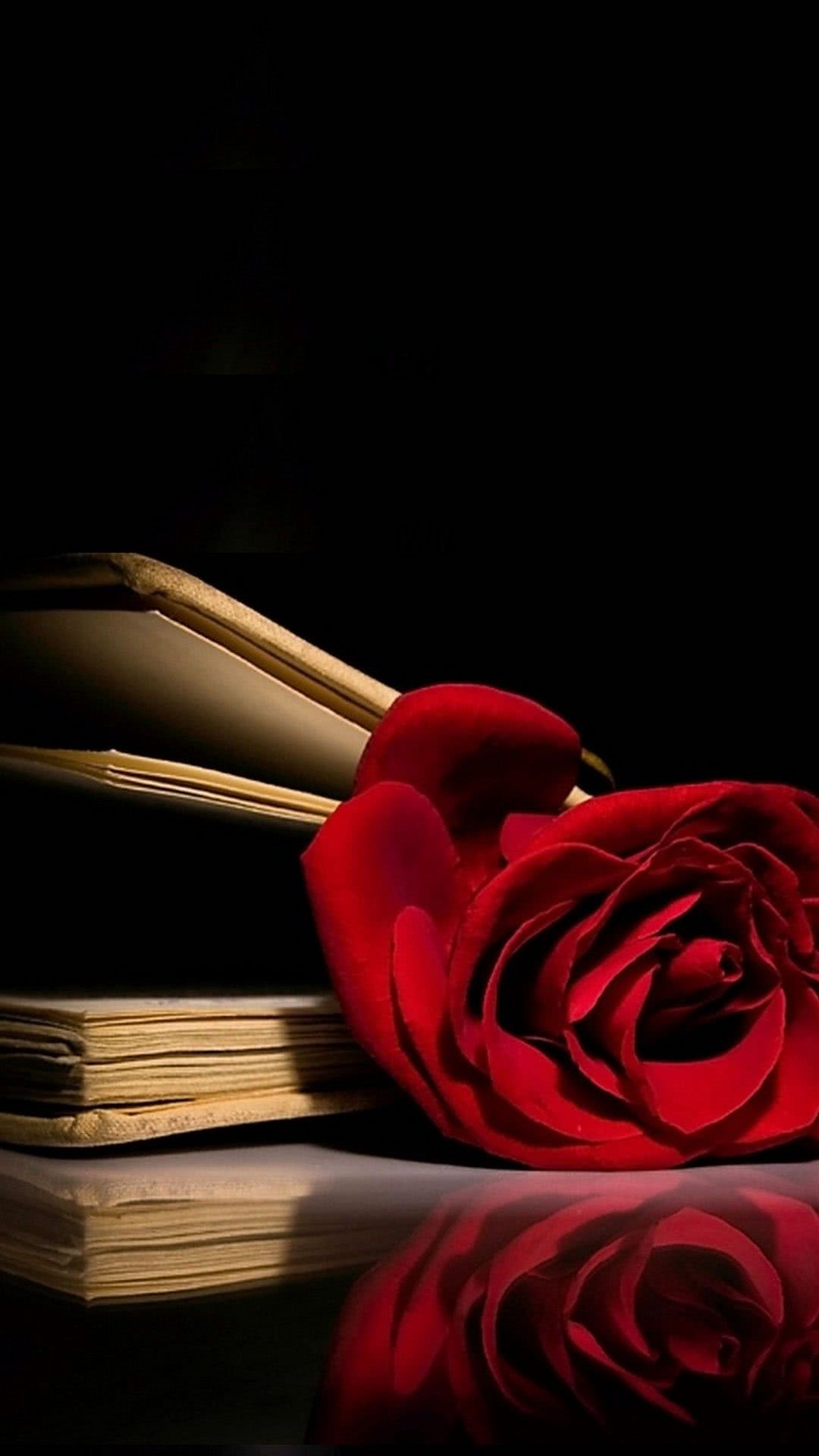 Rose And Book iPhone Wallpaper