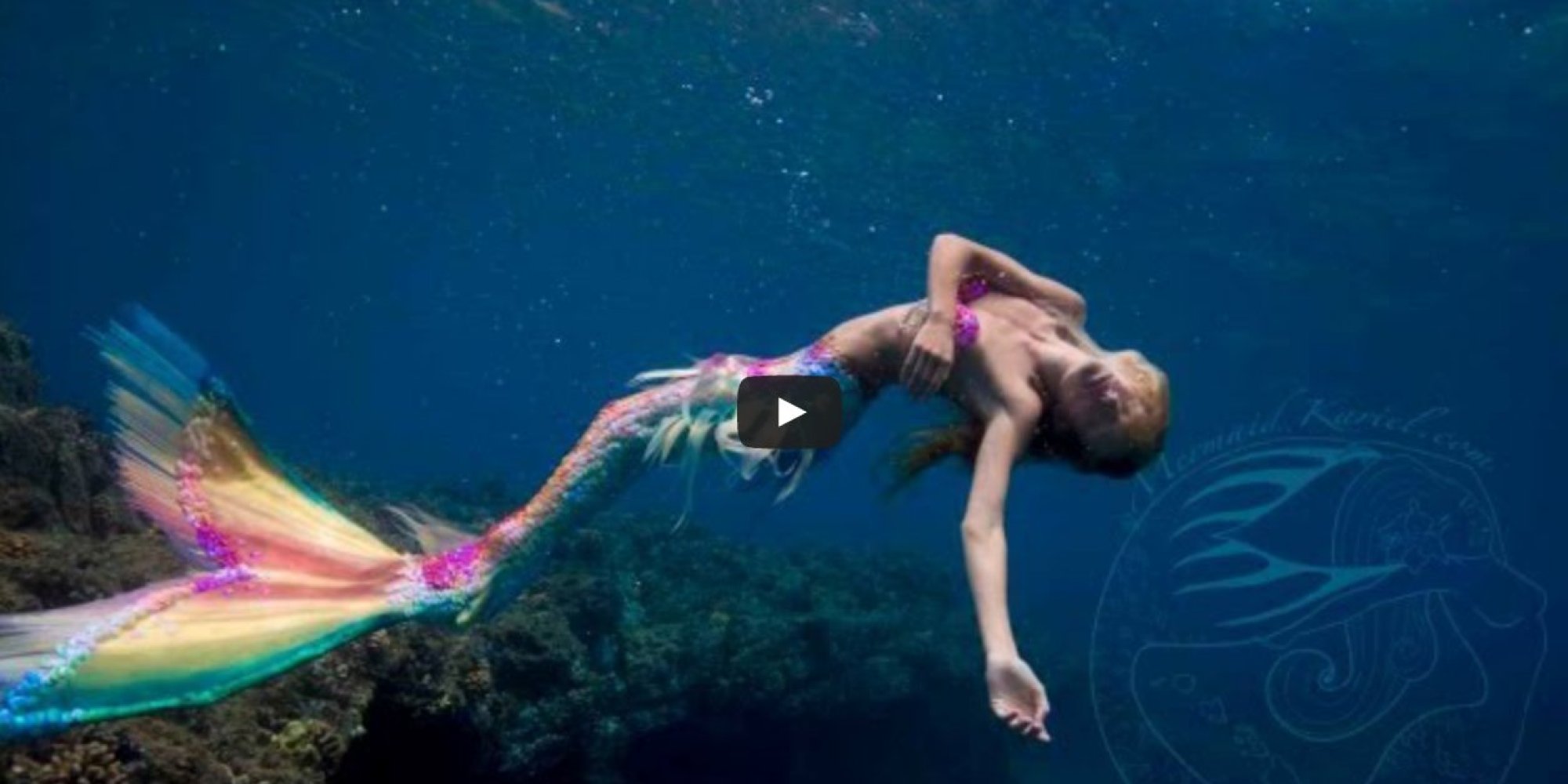 Real Mermaids Found Alive Swimming Pictures