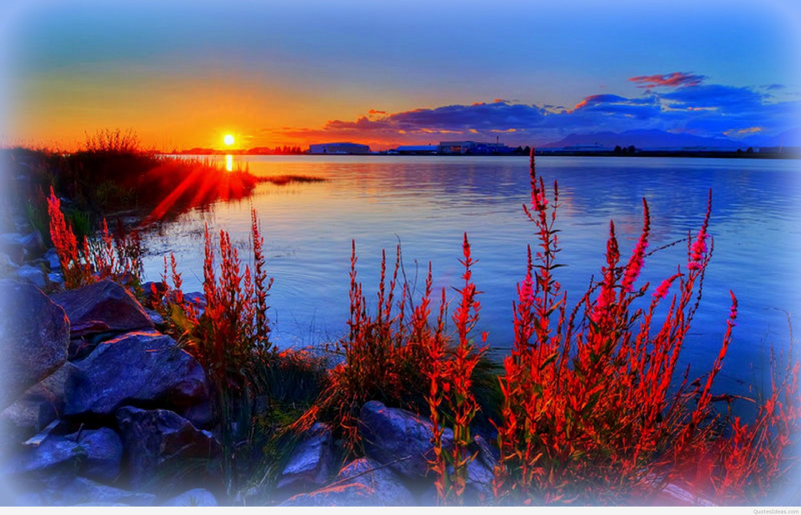 Vibrant sunset over a tranquil lake with colorful wildflowers in the foreground