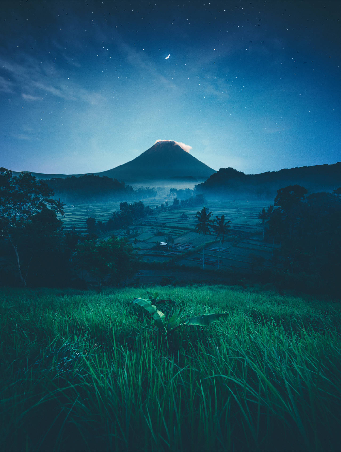 Pixel Nature Wallpaper
