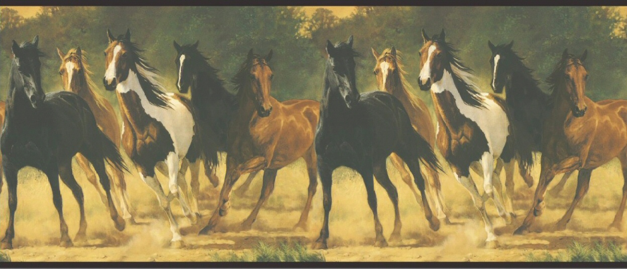 Wild Horses Wallpaper Border LM7904b CLEARANCE QUANTITIES LIMITED