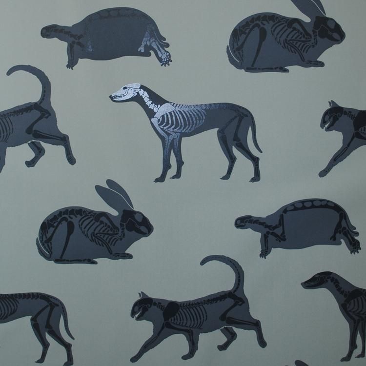 Skeleton Animal Wall Decals That Won T Scare The Kids At Street