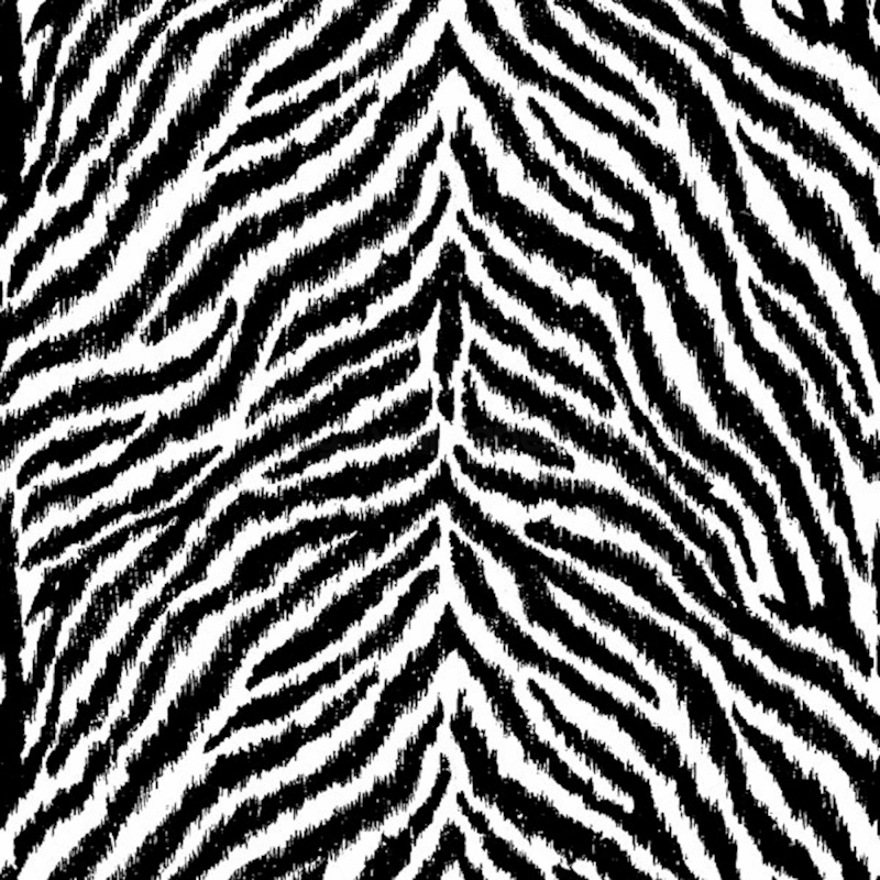Debona Masai Zebra Print White Black Wallpaper
