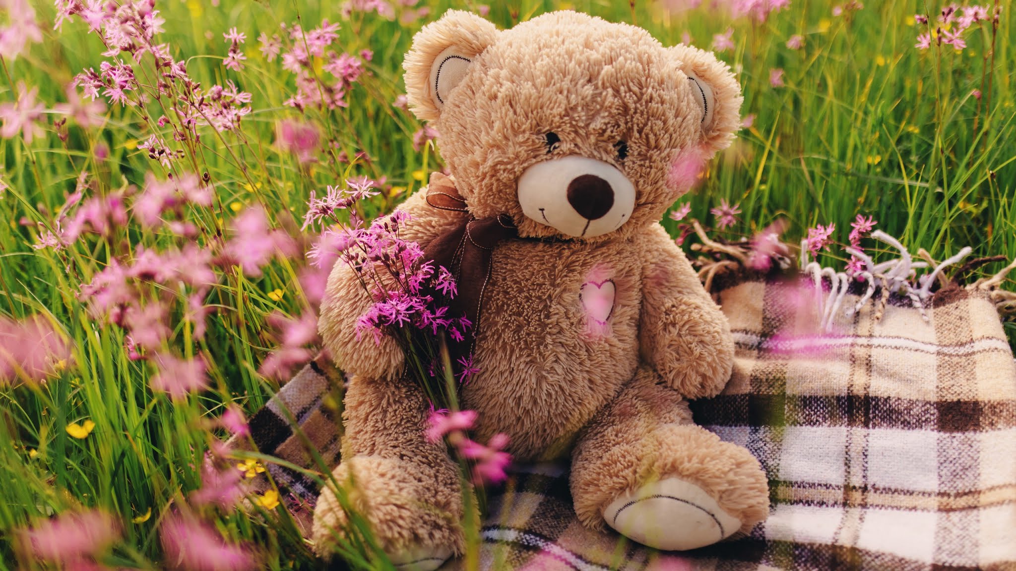 Outstanding Cute Wallpaper Teddy You Can Use It Of Charge