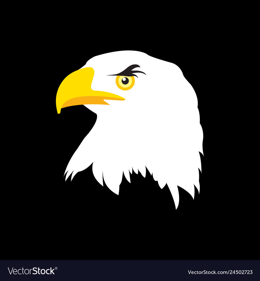 White Head Eagle On Black Background In Flat Vector Image