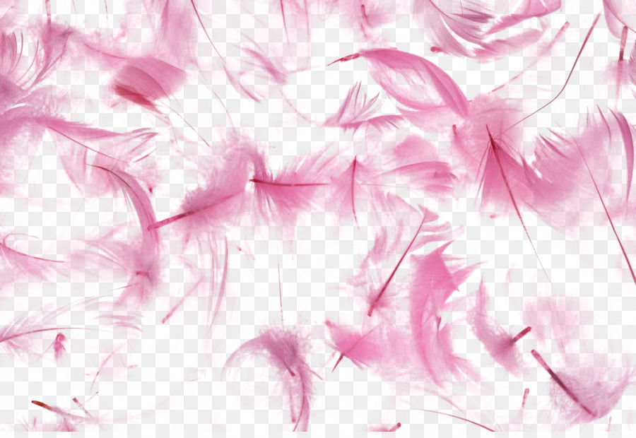 Pink Flower Cartoon Png Transparent