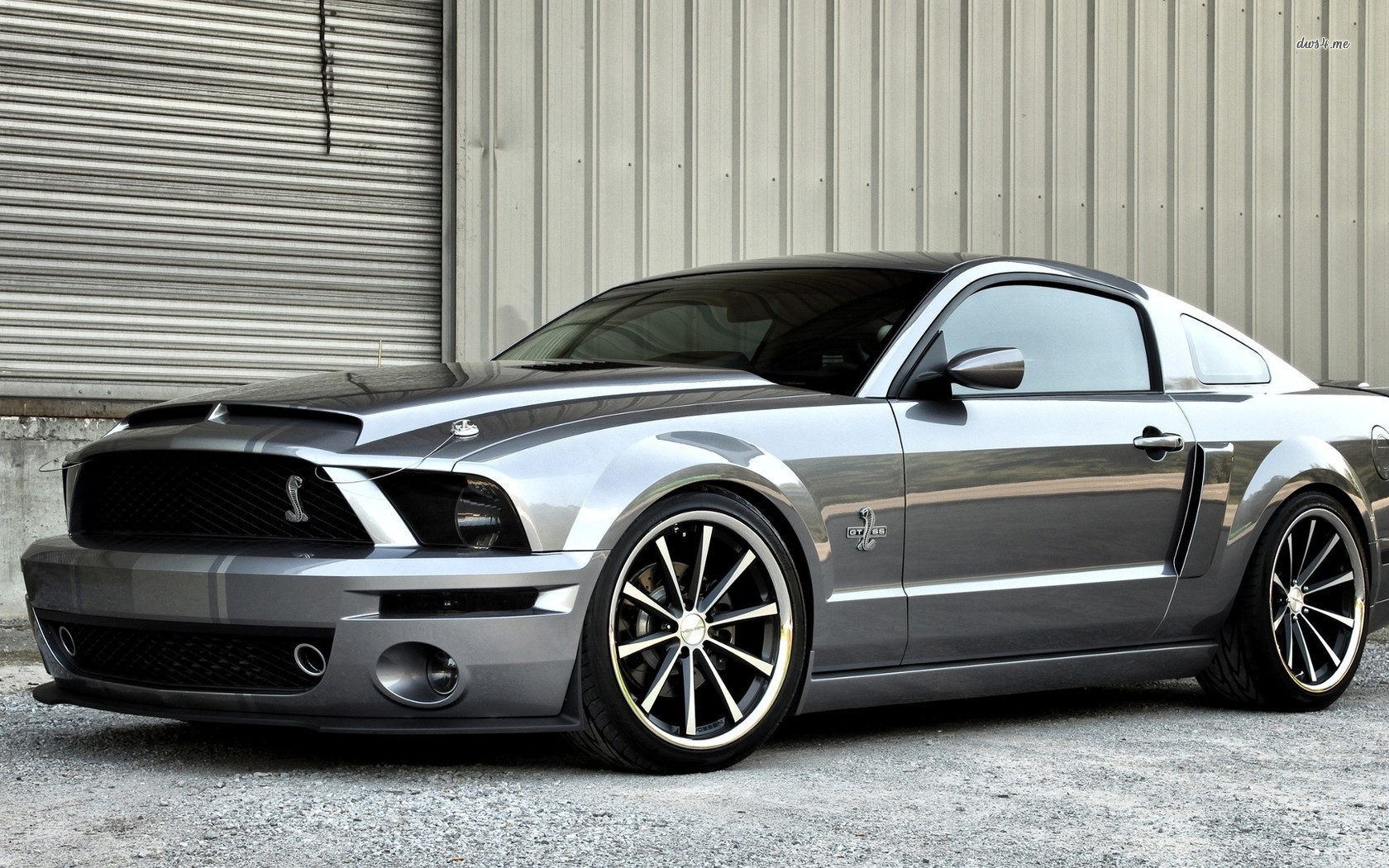 Ford Mustang Shelby Gt500 Silver HD Wallpaper Mycarsupdate